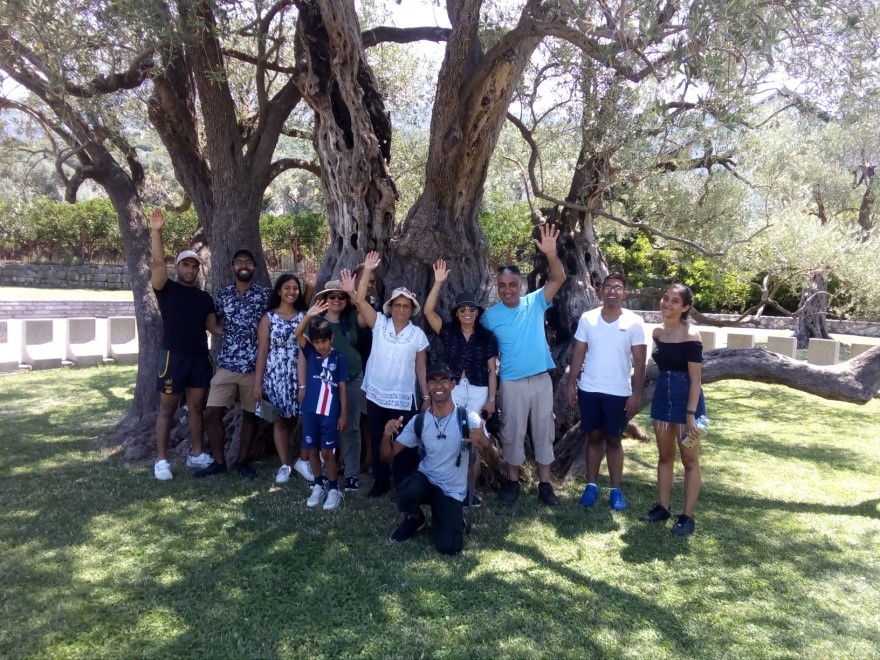 Old olive tree – witness of life in this region for over 2,000 years