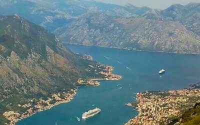 Kotor Tours