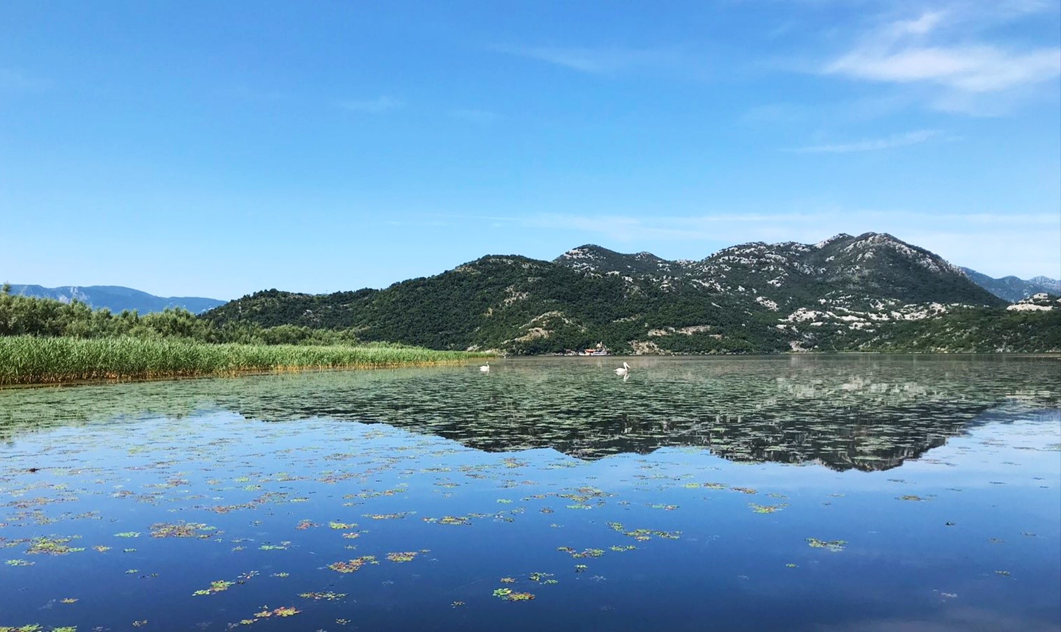 Skadar Lake – through the seasons