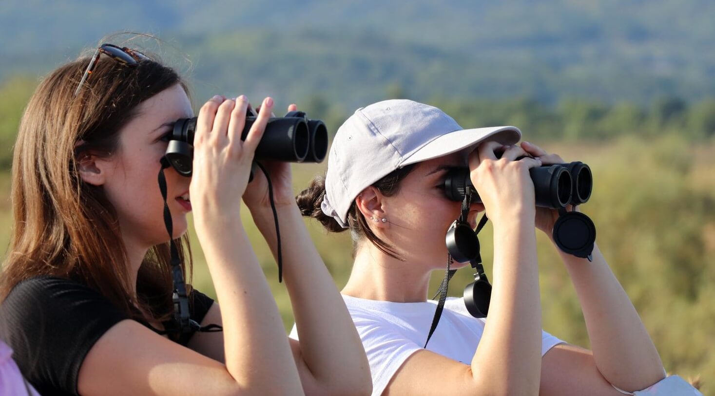 Ornithologists say bird watching in UK is "national sport'"