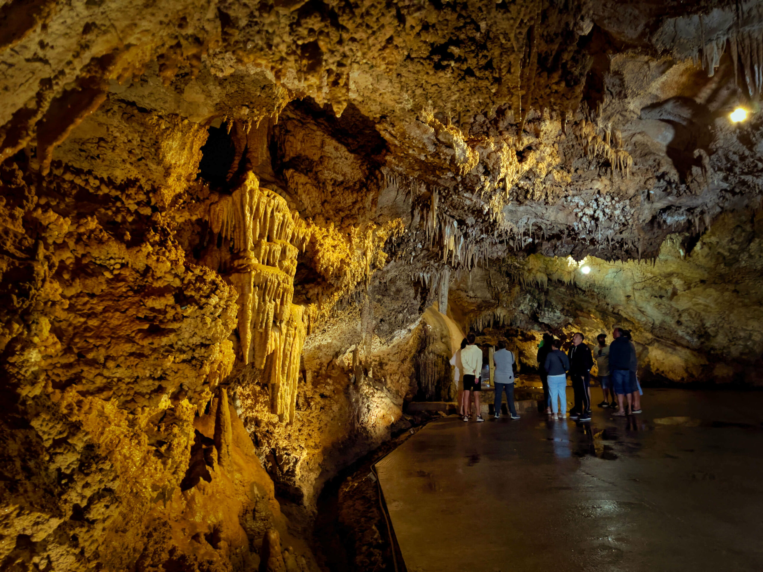 Lipska pećina 5