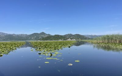 Lake Skadar boat tour – Unforgettable Relax Experience